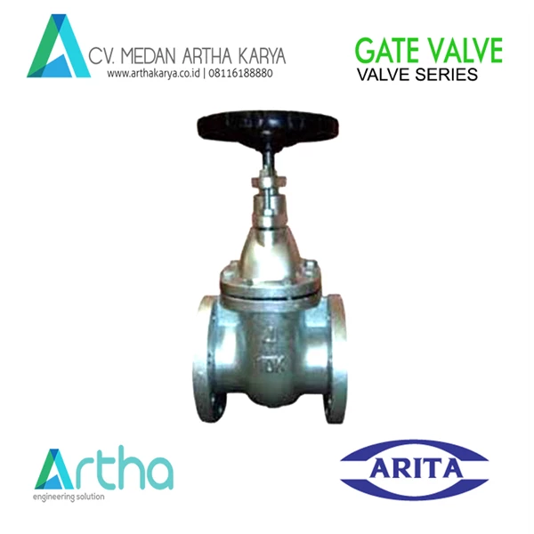 ARITA GATE VALVE CAST STEEL 6 INCH ANSI 150 