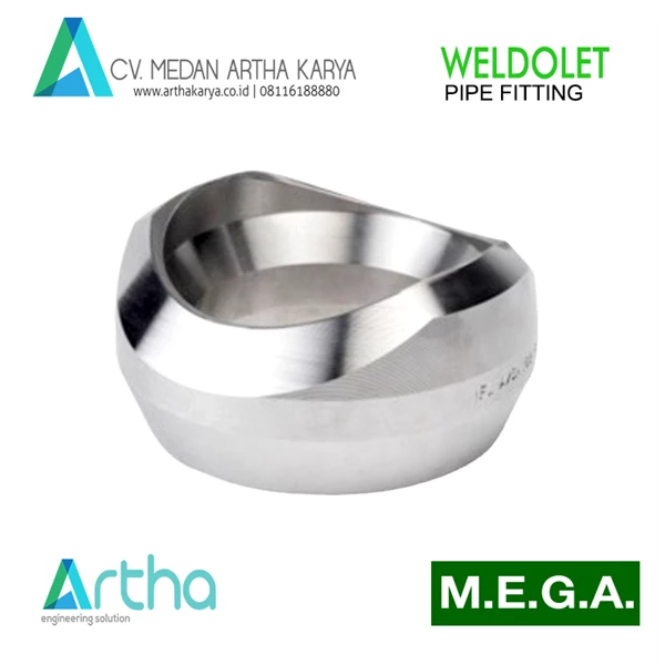 WELDOLET MEGA A 105 S 40 2X2.5 - 3 IN  Stainless Steel Weldolet