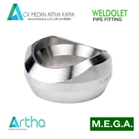 WELDOLET MEGA A 105 S 40 4x10-12 IN Stainless Steel Weldolet